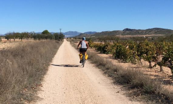 Pais Valencià fietsvakantie in Spanje - Wijnroute in Spanje