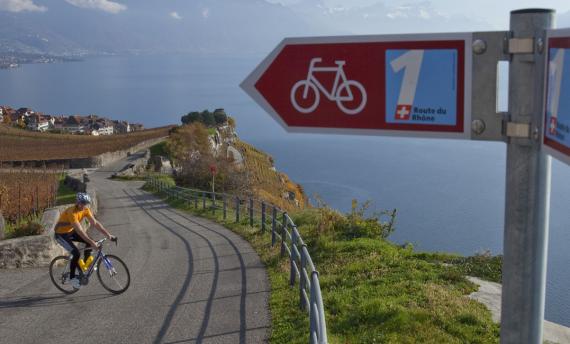 Fietsvakantie Zwitserland: langs de Zwitserse Rhône fietsen