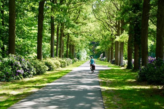 Ten Oosten van de IJssel een van de mooiste fietsroutes van Nederland