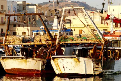 vissersboten in de haven van Trapani