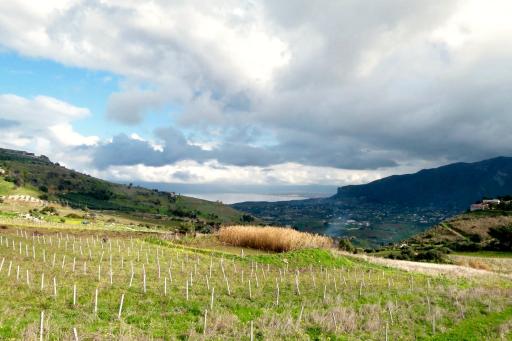 Het West-Siciliaanse binnenland