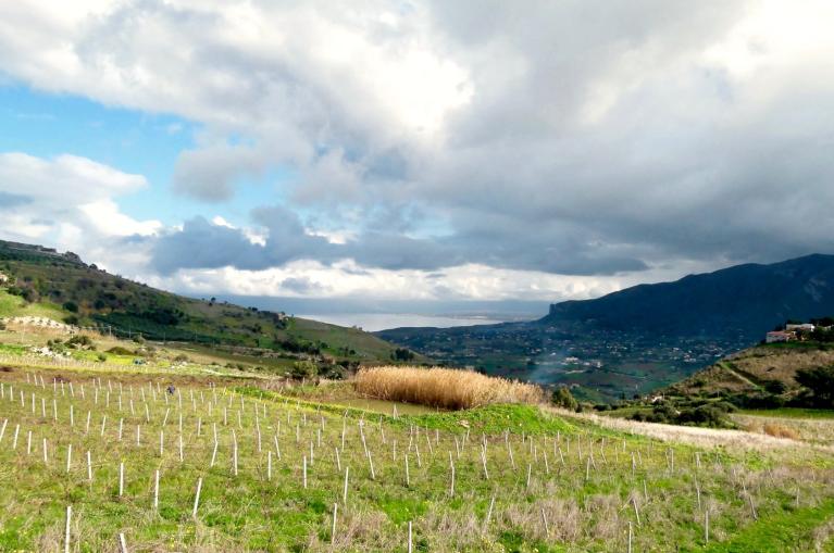 Het West-Siciliaanse binnenland