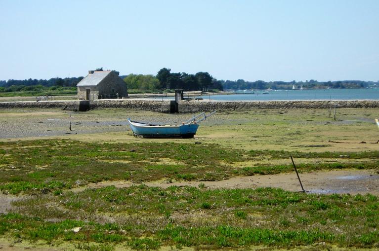 dag 2: Eiland Arz