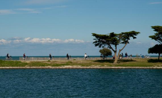 Vélodyssée fietsvakantie in Frankrijk - Langs de Frans-Atlantische Kust fietsen