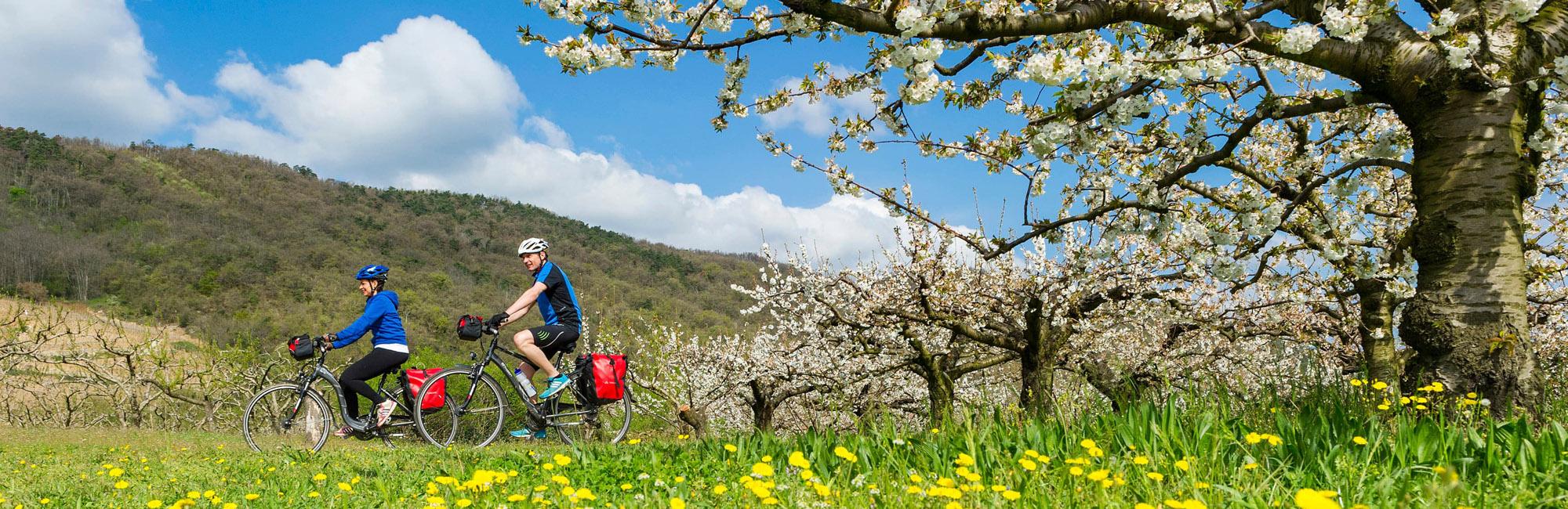 Via Rhôna fietsen in Zwitserland en Frankrijk - fietsvakantie van Genève naar Lyon
