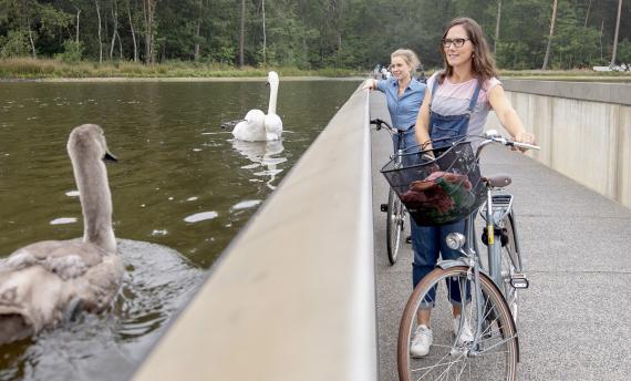 Fietsvakantie in België - de Vlaamse Bierenroute fietsen