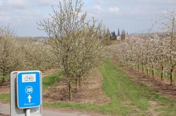 Fruitstreek Langs de fruitstreken in België