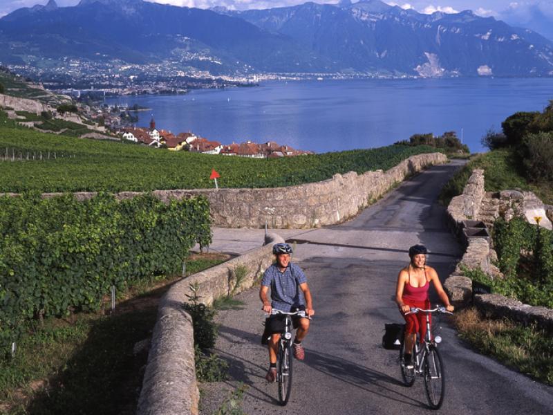 Langs de Zwitserse Rhône