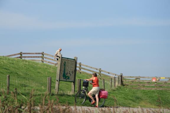 Fietsen dijk Friese dijk
