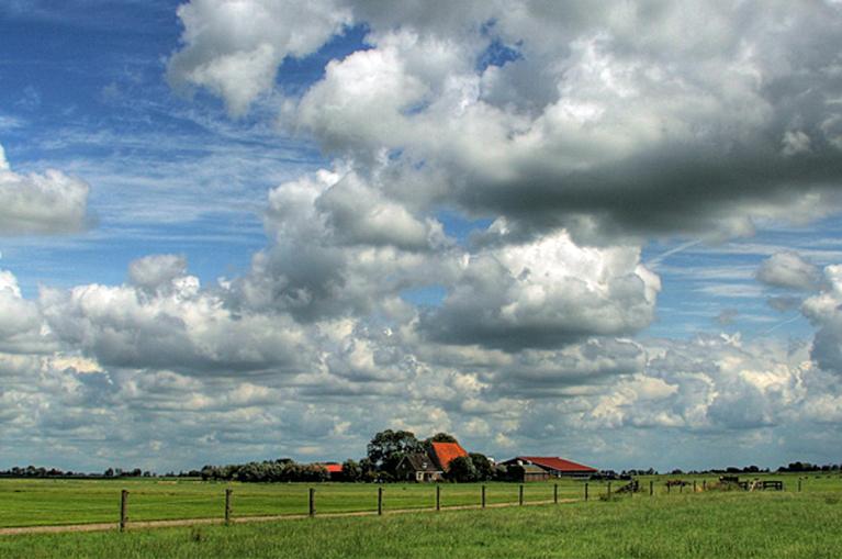 Fries landschap Fietsen langs de Elfstedentocht