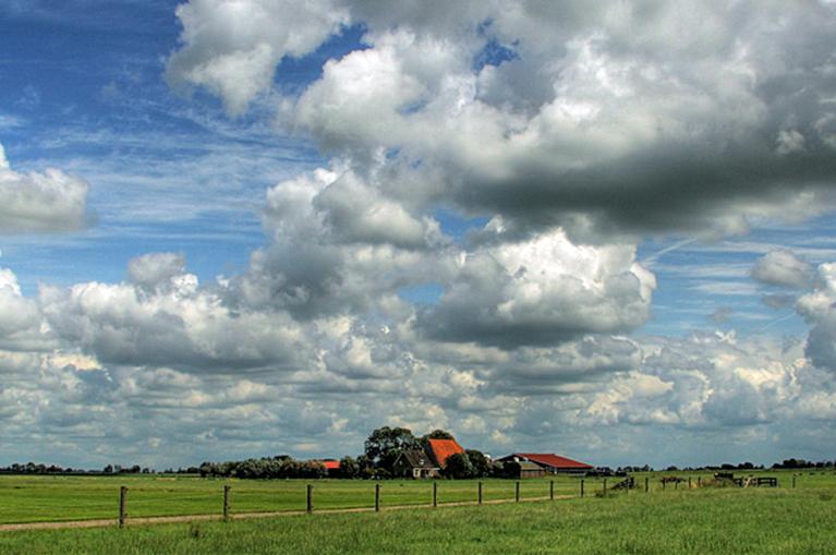 Friese landschap