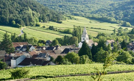 Fietsvakantie Bourgogne, Frankrijk - Fietsen door de Bourgondische Wijngaarden