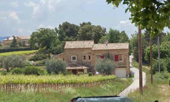 Fietsvakantie Provence in Frankrijk, fietsen langs de hoogtepunten van de Provence