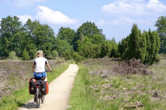 Fietsen tussen jeneverbesstruwelen Fietsen tussen jeneverbesstruwelen