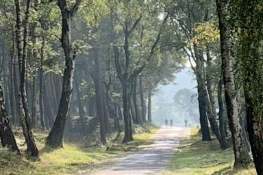 Veluwe