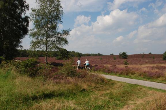 Veluwe Veluwe een van de mooiste fietsroutes van Nederland