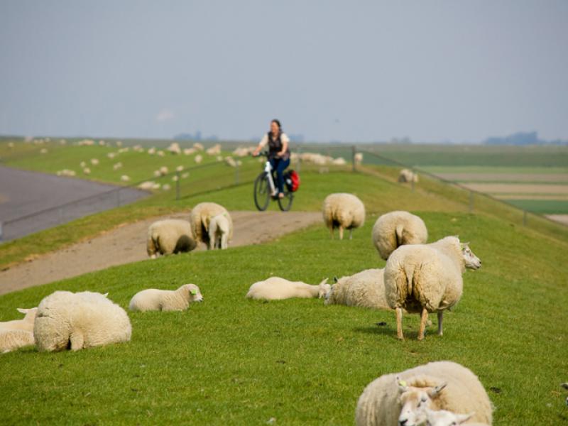 Pieterpad op de Fiets - etappe 1 - Pieterburen > Hellendoorn Pieterpad op de Fiets - etappe 1 - Pieterburen > Hellendoorn