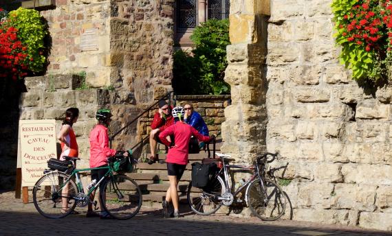 Elzasser Wijnroute fietsen - Fietsvakantie Frankrijk 'Route du vin'