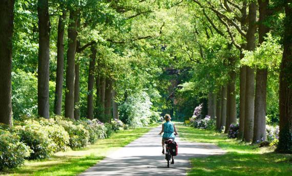 bos Pieterpad fietsen