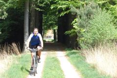 Fietsvakantie Nederland over de Veluwe