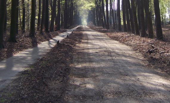 Gravel Veluwe