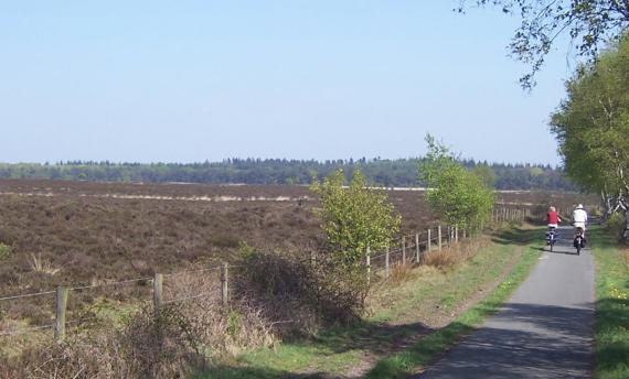 Fietsvakantie in Gelderland