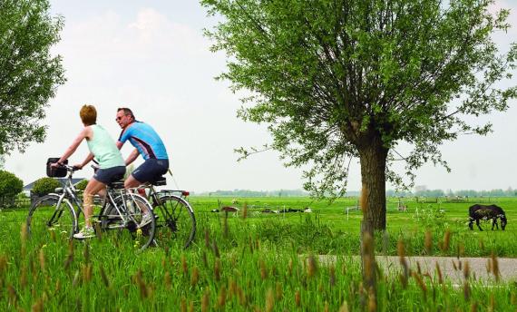 Fietsvakantie Nederland - Fietsen door Het Groene Hart