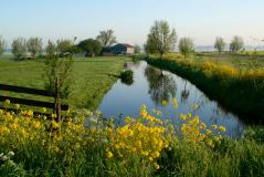 Hollands landschap