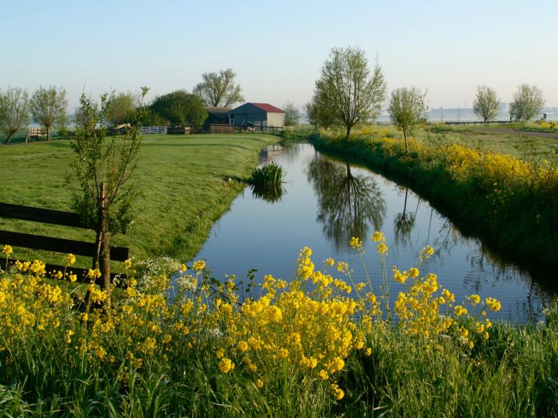 Het Groene Hart Het Groene Hart