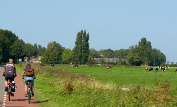 Fietsers bij Westernieland