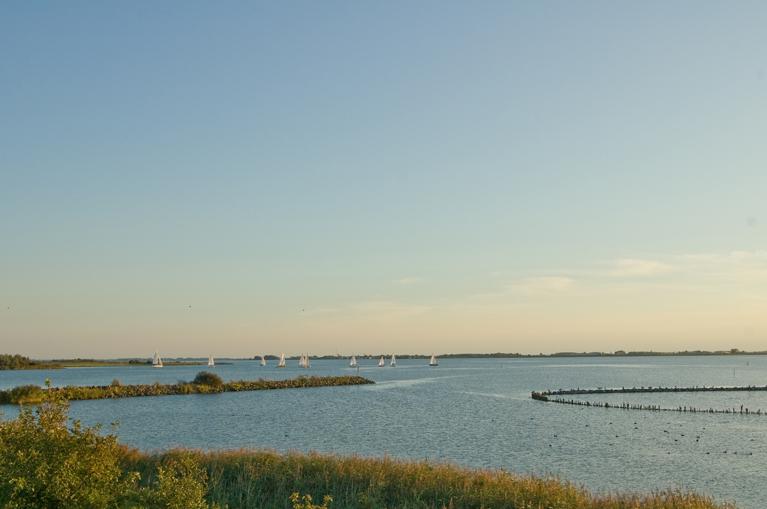 Lauwersmeer