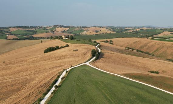 Marche panorama