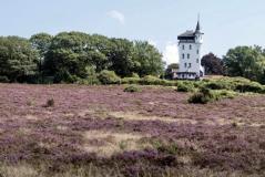 Over de veluwe