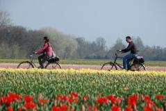 Ontdek de mooiste fietsroutes in Nederland
