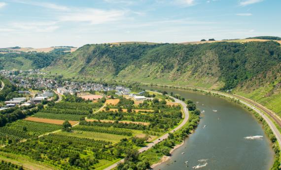 Fietsend langs de Moezel