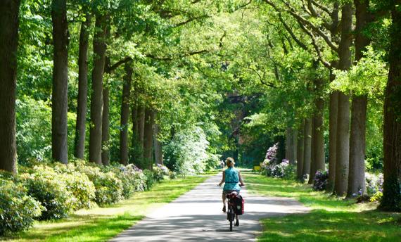 Pieterfietspad Sportief