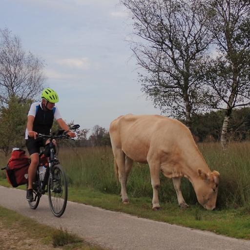 brabant