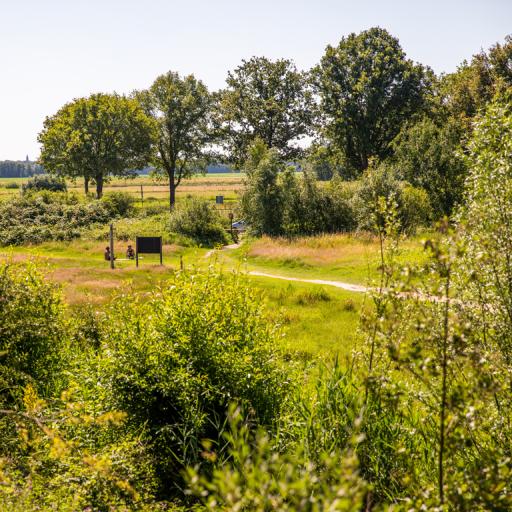 Moerputten