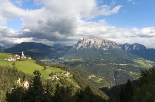view