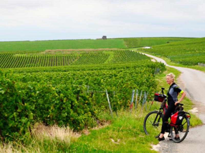 Bubbels en fietsen door de Champagne Bubbels en fietsen door de Champagne