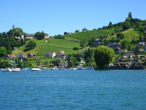 Huisjes en bootjes op het Bodenmeer, zoals de Bodensee ook wel wordt genoemd