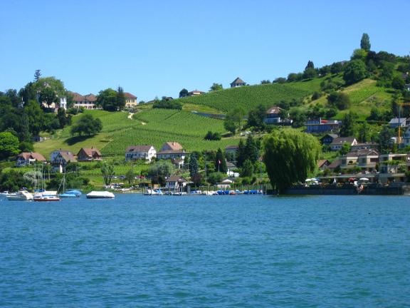 Bodensee Bodensee