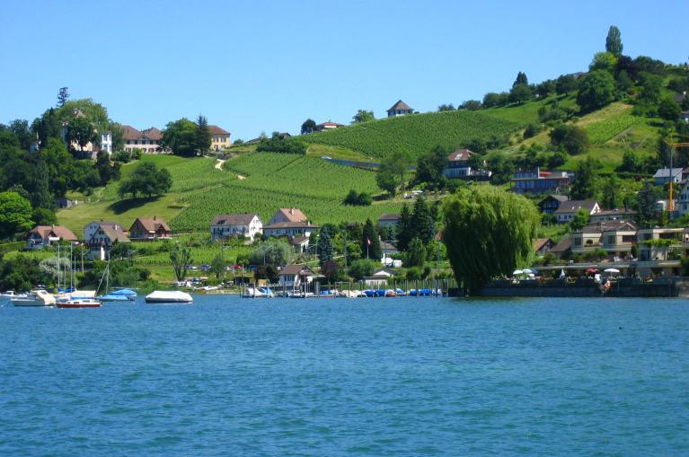 Huisjes en bootjes op het Bodenmeer, zoals de Bodensee ook wel wordt genoemd
