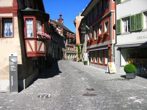 Fietsen langs pittoreske stadjes en dorpjes aan de Bodensee