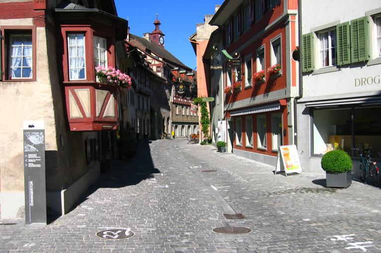 Fietsen langs pittoreske stadjes en dorpjes aan de Bodensee