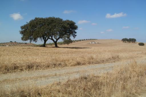Fietsen in Alentejo, Portugal? Boek uw fietsvakantie bij Fietsrelax.nl