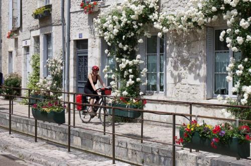 Fietsvakantie La Loire à Vélo