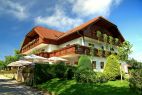 Hotel Spitzerwirt St. Georgen im Attergau (c)